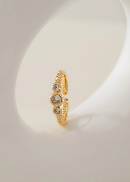 Anillo Royalty Ajustable