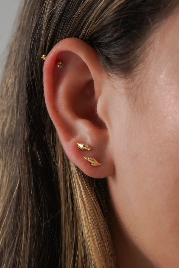 Topos Shell
