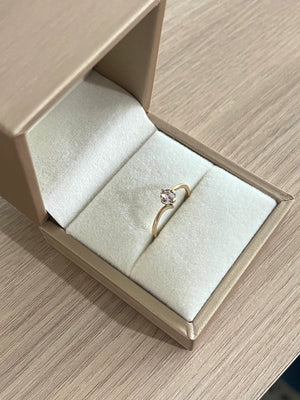 Anillo Cruzado Ku promise