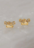 Topos Crab Circonias