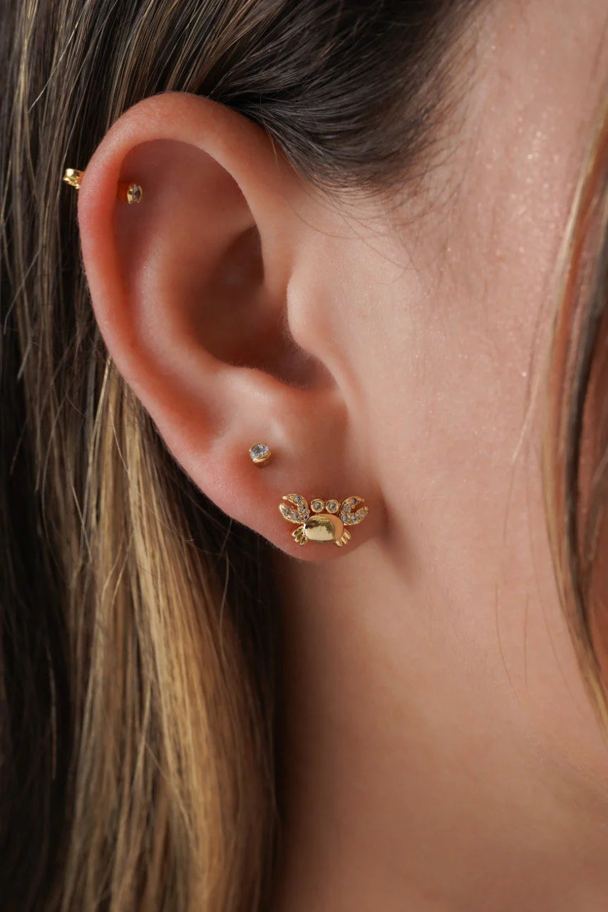 Topos Crab Circonias