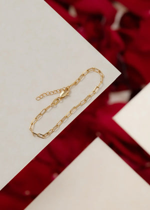 Esclava Chain 16 Cms + Extensor